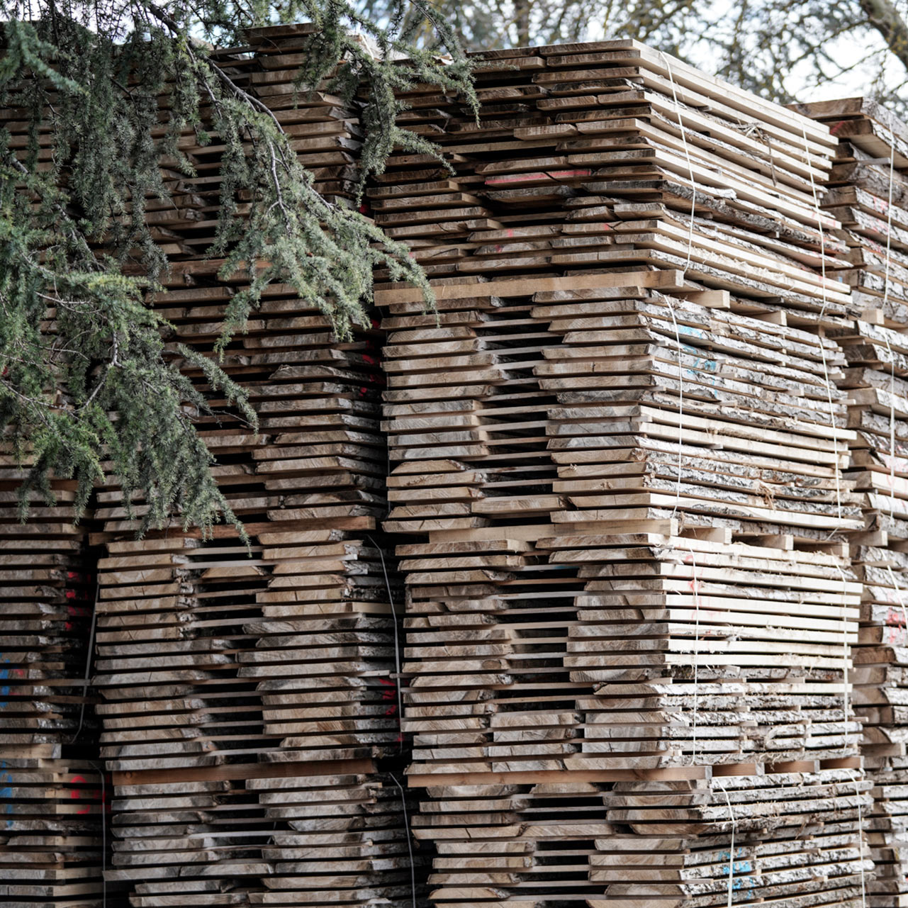 Bois de menuiserie et d’ébénisterie